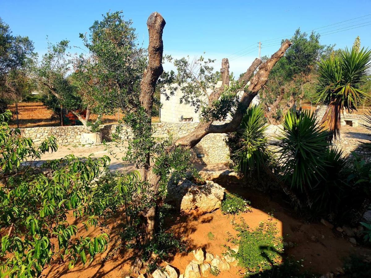 Villa Sargheruoli モンテローニ・ディ・レッチェ エクステリア 写真